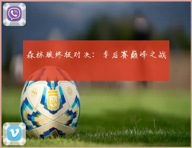 森林狼终极对决:季后赛巅峰之战
