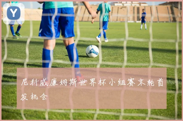尼科威廉姆斯世界杯小组赛末轮首发机会