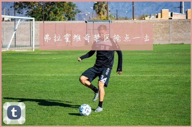 弗拉霍维奇禁区抢点一击