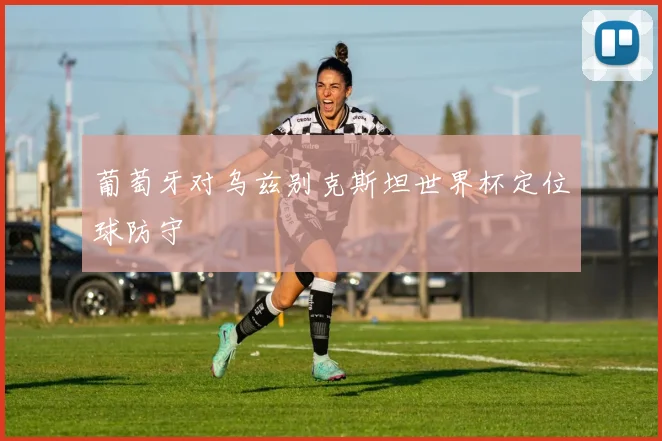 葡萄牙对乌兹别克斯坦世界杯定位球防守