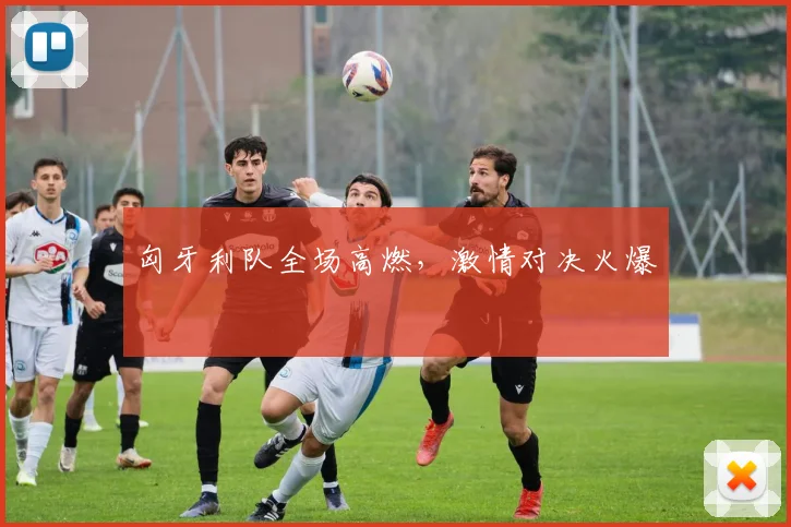 匈牙利队全场高燃，激情对决火爆