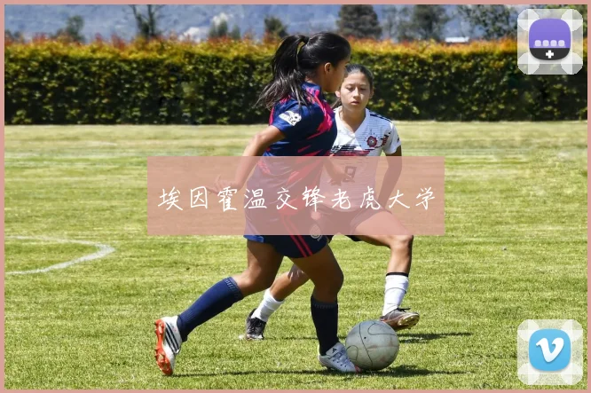 埃因霍温交锋老虎大学