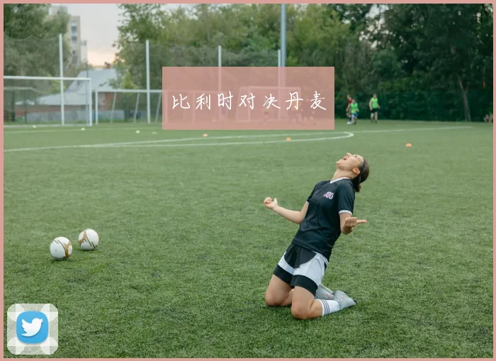 比利时对决丹麦