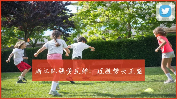 浙江队强势反弹：连胜势头正盛