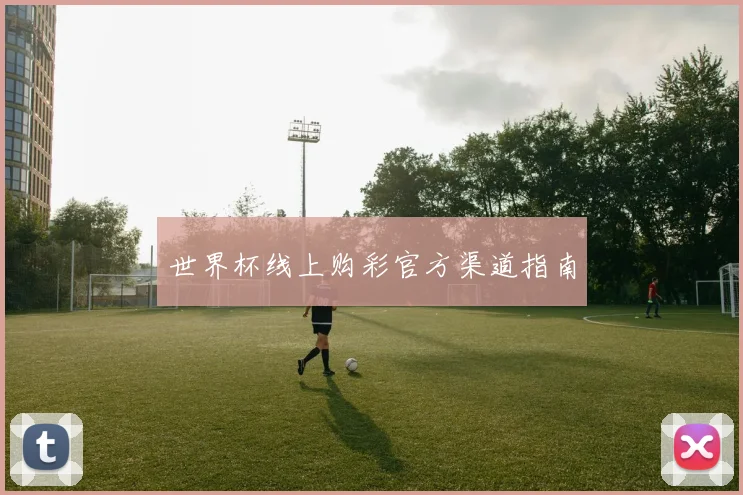 世界杯线上购彩官方渠道指南