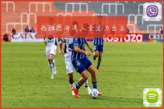 西雅图海湾人全主力出击