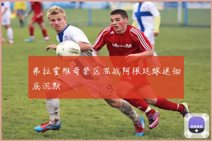 弗拉霍维奇禁区混战阿根廷球迷彻底沉默