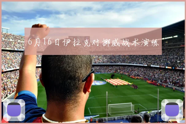 6月16日伊拉克对挪威战术演练