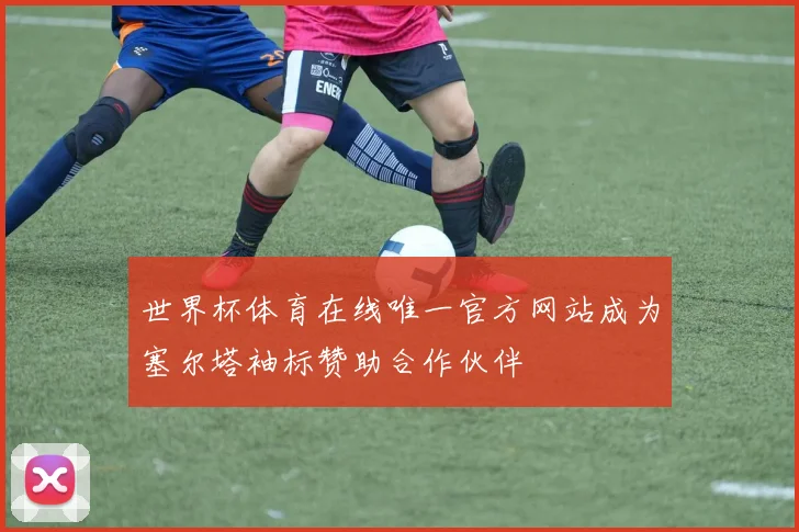 世界杯体育在线唯一官方网站成为塞尔塔袖标赞助合作伙伴