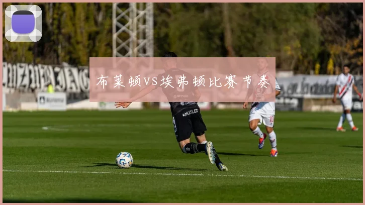 布莱顿vs埃弗顿比赛节奏