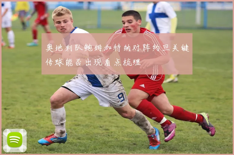 奥地利队鲍姆加特纳对阵约旦关键传球能否出现看点梳理